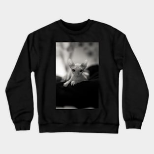 AngelEyes Crewneck Sweatshirt